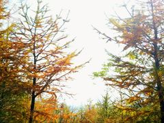 -西湖风景区-江洋畈生态公园