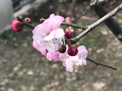 -鲁迅公园-垂钓中心