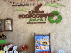 -大象粑粑造纸公园