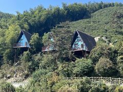 -长沙黑麋峰国家森林公园