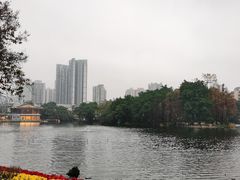 -荔湾湖公园