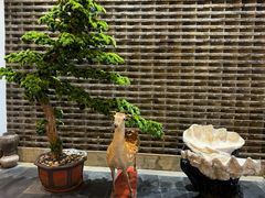 -健眺小海鲜(临海后山店)