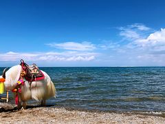 -青海湖国家重点风景名胜区