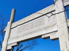 -紫金山山顶公园