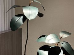 -木兰逸•泰式按摩•头疗•SPA(车公庙店)