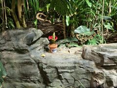 -国家植物园南园