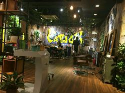 -藤野造型·专业烫染店