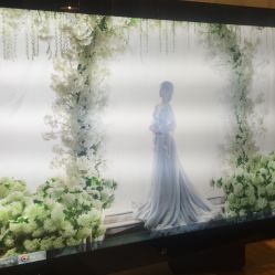 点击看大图 -鱼映像摄影·珍藏级影像品牌
