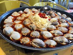 大白贝-水哥卜卜贝(东晓·胜汇里店)