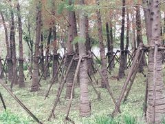 -春花秋色城市公园