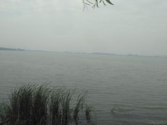 -漕湖湿地公园