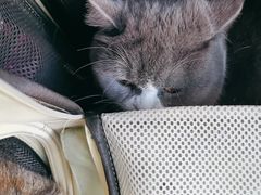 -芭比堂动物医院·CT·微创中心(新顺分院)