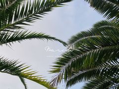 -深圳湾公园(南山区)