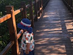 -东寨港红树林旅游区