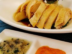 -Asianplus海蓝鸡饭