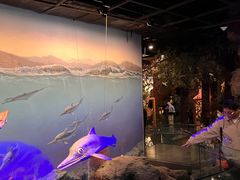 -浙江自然博物院(杭州馆)