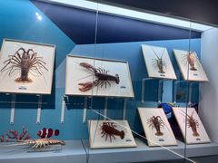 -陕西自然博物馆