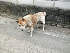 -三溪村
