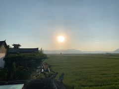 -喜林苑·稻田餐厅(品相府店)