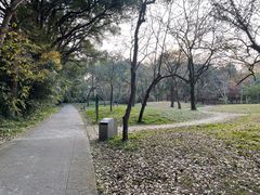 -杭州植物园