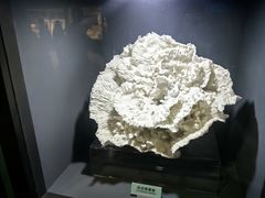 -天津自然博物馆