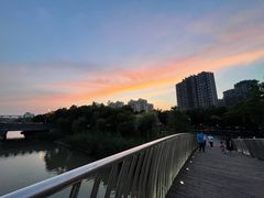 -南翔镇银翔湖公园