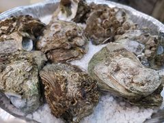 盐焗生蚝-贞味盐焗鸡(老城店)