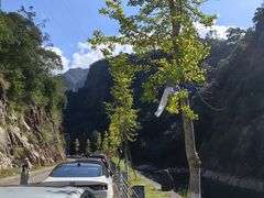 -龙湾潭国家森林公园