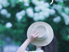 -尚贤河湿地