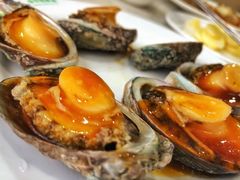 鲍鱼-春华海鲜城(广场西苑店)