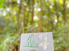 -广州市帽峰山景区