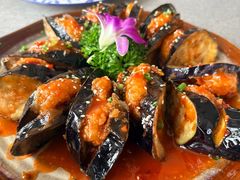 -老城味道·传统天津菜(杨柳青店)