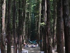 -山王坪喀斯特国家生态公园
