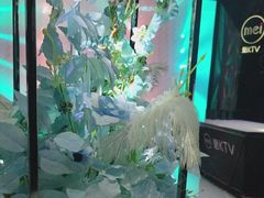 -魅KTV·AI辅唱(人民广场旗舰店)