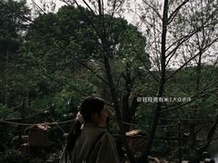 -一杯潮茶·专注潮汕茶饮(朝阳庄店)