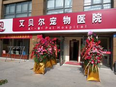 -艾贝尔宠物医院 ·内科全科(梁溪路店)