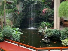 -白天鹅宾馆·流浮阁咖啡厅