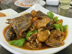 红烧甲鱼-溱湖八鲜菜馆