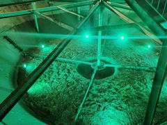 -816工程景区