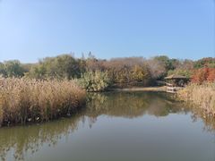 -同里国家湿地公园
