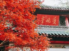 -岳麓山风景名胜区