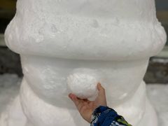 -世界之窗阿尔卑斯冰雪世界