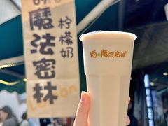 -猫的魔法密林(衣裳街店)