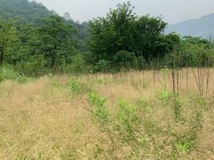 -会稽山峡洞漂流-上青古道