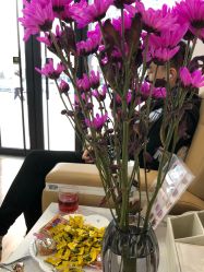 -绘甲社NACHO&DAI SALON