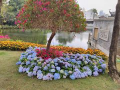 -荔湾湖公园