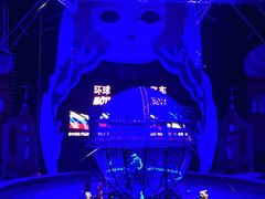 -俄罗斯国家大马戏团