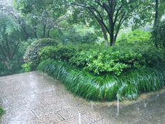 -杭州半山国家森林公园