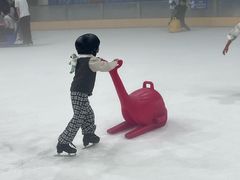-世界之窗阿尔卑斯冰雪世界