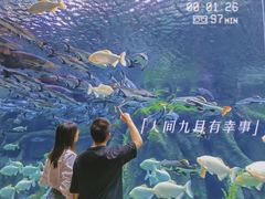 -波塞冬海底世界